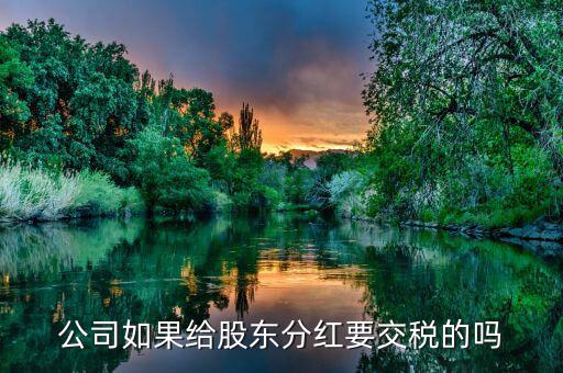 企業(yè)分紅要交什么稅，公司如果給股東分紅要交稅的嗎