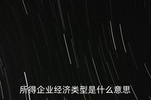 所得項(xiàng)目是什么意思，所得企業(yè)經(jīng)濟(jì)類型是什么意思