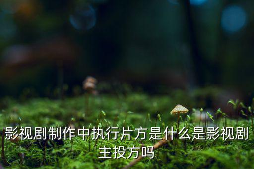 什么是分立主導方，股權分立是什么意思