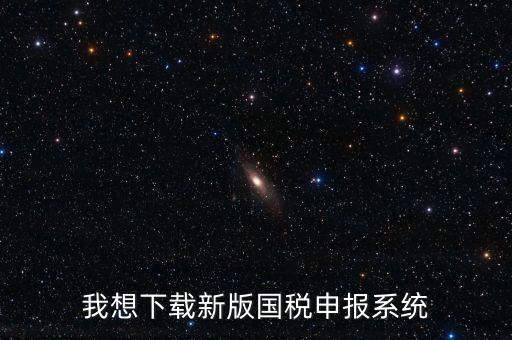 新疆國(guó)稅報(bào)稅什么系統(tǒng)下載，我想下載新版國(guó)稅申報(bào)系統(tǒng)