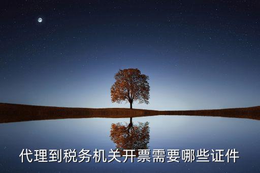 國(guó)稅代理開(kāi)票需要什么，代開(kāi)普通國(guó)稅發(fā)票要什么資料
