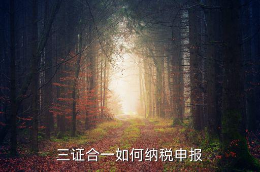三證合一用什么報(bào)稅，三證合一如何納稅申報(bào)