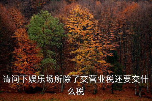 娛樂業(yè)交什么稅，請問下娛樂場所除了交營業(yè)稅還要交什么稅