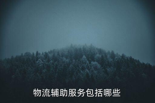 物流輔助服務(wù)費(fèi)是什么，物流輔助費(fèi)的銷項(xiàng)稅金繳納城建稅及附加