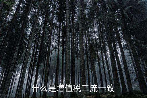 發(fā)票的流向相符是什么意思，普通增值稅發(fā)票資金流向要相符嗎
