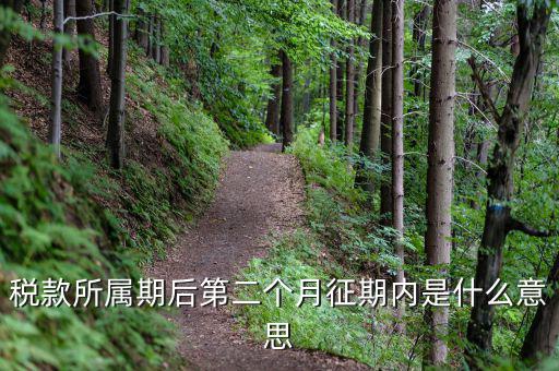 11月份征期是什么意思，稅款所屬期后第二個(gè)月征期內(nèi)是什么意思