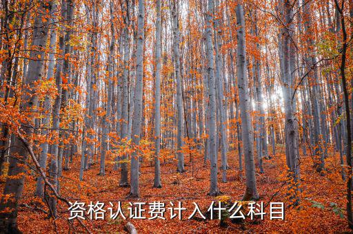 認證服務費什么，申請微信公眾賬號認證服務費什么意思