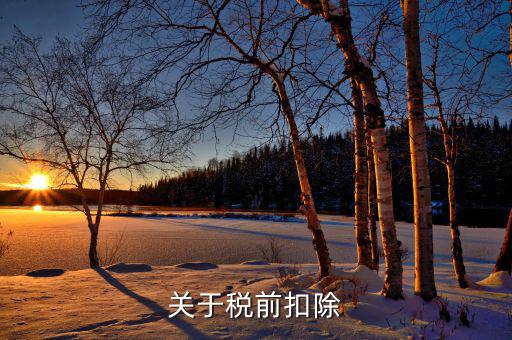 稅前扣除什么時候扣除，關(guān)于稅前扣除