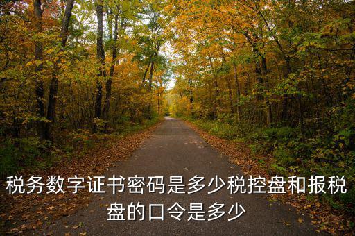 寧波國(guó)稅ca密碼是什么，寧波市電子稅務(wù)局登陸密碼