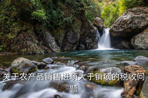 為什么農(nóng)產(chǎn)品收購(gòu)發(fā)票抵扣額大于銷項(xiàng)稅額，關(guān)于農(nóng)產(chǎn)品銷售進(jìn)項(xiàng)大于銷項(xiàng)的稅收問(wèn)題