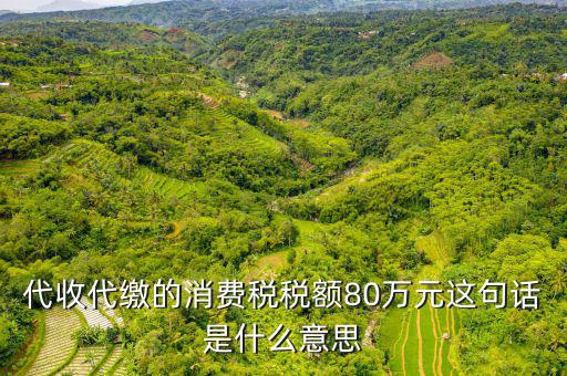 代扣代繳稅額是什么，代扣稅屬于什么稅
