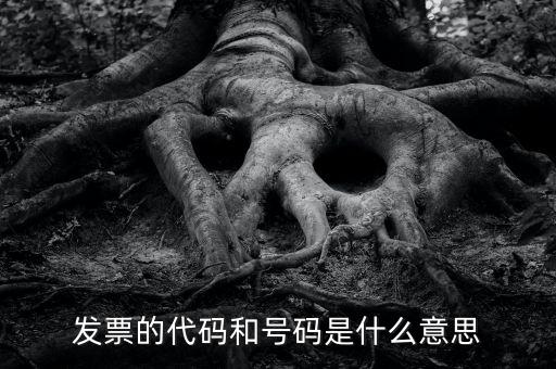 什么是打發(fā)票代碼，請教各位什么事發(fā)票代碼