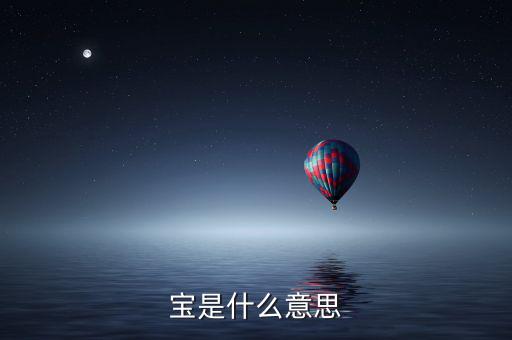 薪稅寶是什么意思，寶是什么意思