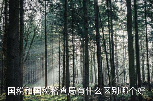 國稅稅收調(diào)查調(diào)查什么區(qū)別，國稅三稅調(diào)查是指哪三稅