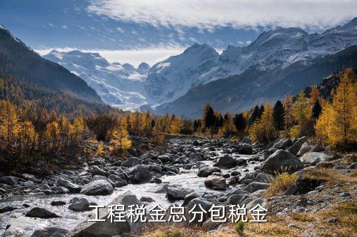 凈稅收中的總稅是什么，簡明的說下增值稅附加稅等各項稅款