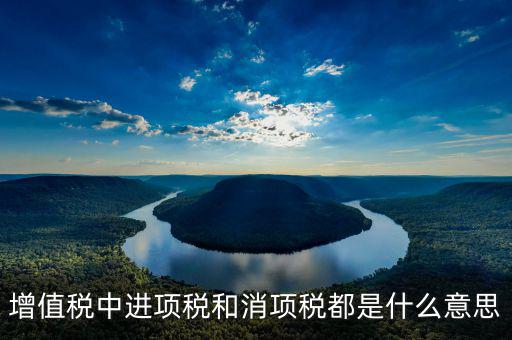 什么叫消項(xiàng)稅，進(jìn)項(xiàng)稅和銷(xiāo)項(xiàng)稅是什么意思