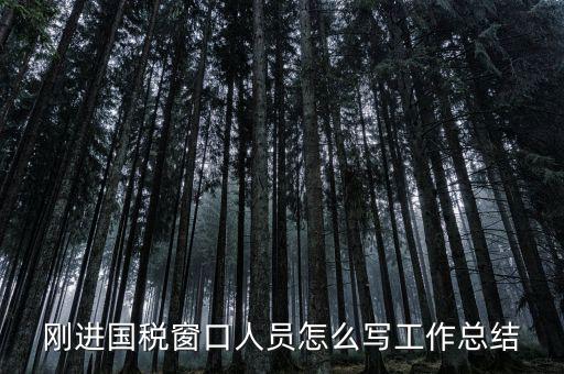 在國稅上班有什么感想，我是合同員工到國稅局上班一個月心得體會