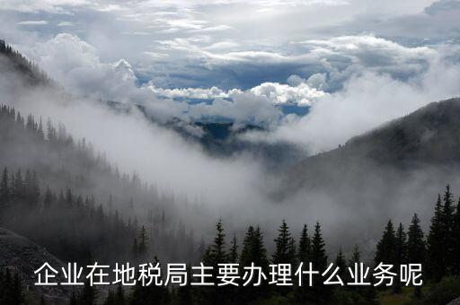 廣州地稅辦理什么業(yè)務(wù)，廣州稅務(wù)登記
