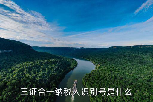 三證合一稅務(wù)識別號是什么，三證合一后納稅人識別號是什么意思