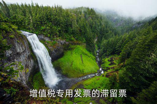 滯留票核查工作是干什么的，稅務(wù)局會查到期未抵扣的滯留增值稅專用發(fā)票嗎用來查帳外帳
