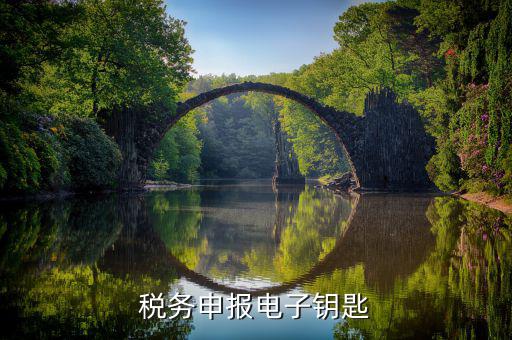 稅務(wù)電子鑰匙是什么，稅務(wù)申報電子鑰匙