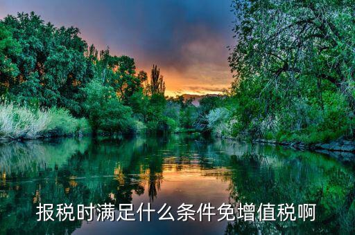 什么情況免征增值稅，哪些屬于免征增值稅