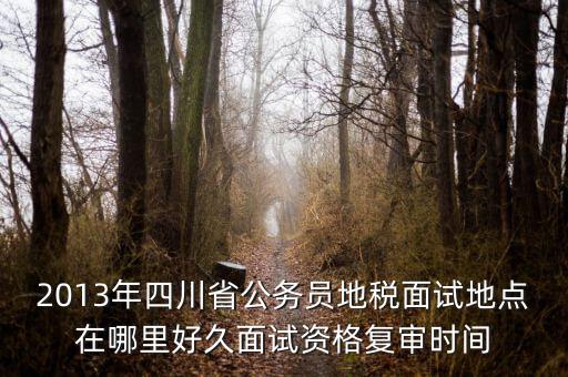 2016年四川地稅資格復(fù)審什么時(shí)候，大概什么時(shí)候資格復(fù)審啊