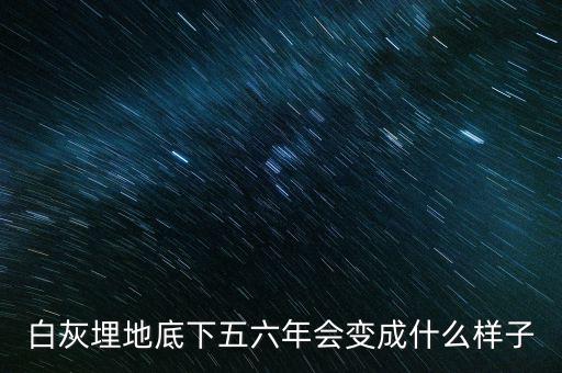 土地最底下是什么樣的，蛭石放在盆栽土壤的哪里土上還是土的最底下