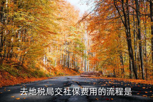 地稅局交社保需要什么手續(xù)費(fèi)，去地稅局交社保費(fèi)用的流程是