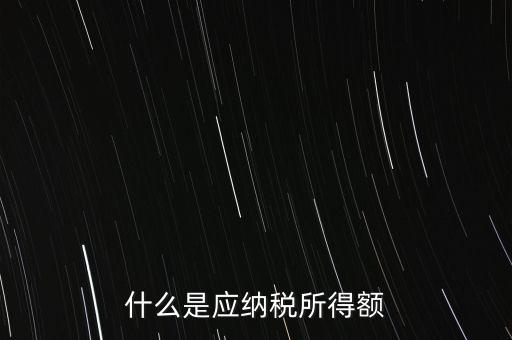 什么是年應納稅所得額，什么是應納稅所得額