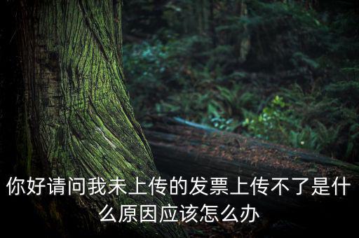 發(fā)票沒(méi)上傳什么意思，發(fā)票系統(tǒng)顯示O張未上傳發(fā)票可是在查不到提示查無(wú)此票怎么回