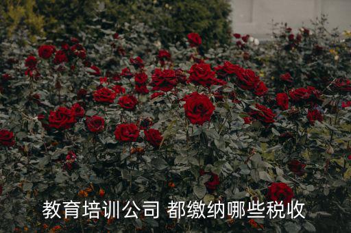 教育公司收取什么稅，教育培訓公司 都繳納哪些稅收