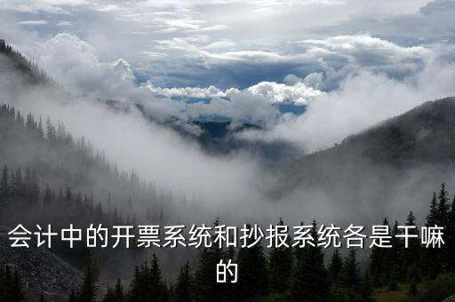報(bào)稅開票系統(tǒng)是什么意思，每個(gè)月一號(hào)重登金稅盤開票系統(tǒng)是什么意思