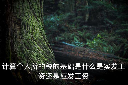 稅金的計(jì)算基礎(chǔ)是什么，計(jì)稅基礎(chǔ)是什么意思