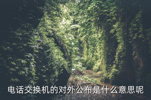 對(duì)外公開電話有什么，福建省廈門市湖里區(qū)人民法院對(duì)外公開號(hào)碼都有哪些