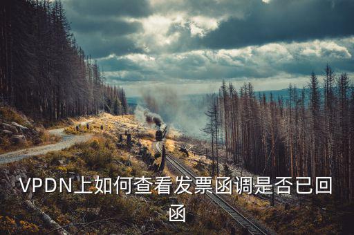 發(fā)票為什么會(huì)被復(fù)函，VPDN上如何查看發(fā)票函調(diào)是否已回函
