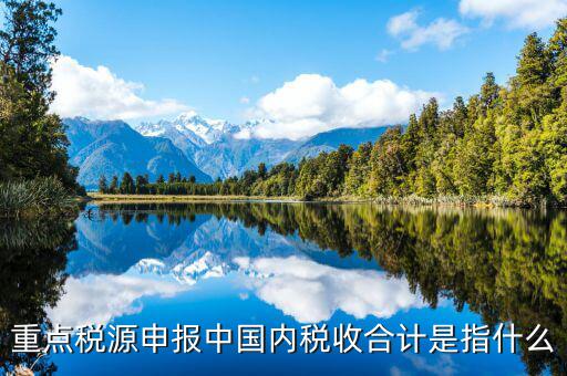 重點(diǎn)稅源填了有什么用，我的電腦重裝后重點(diǎn)稅源以前數(shù)據(jù)怎么查詢
