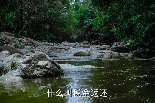 稅收退還的協(xié)議叫什么，什么是稅費返還