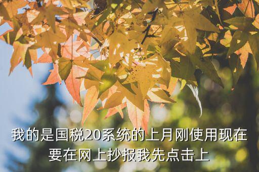 我的是國稅20系統(tǒng)的上月剛使用現(xiàn)在要在網(wǎng)上抄報我先點(diǎn)擊上