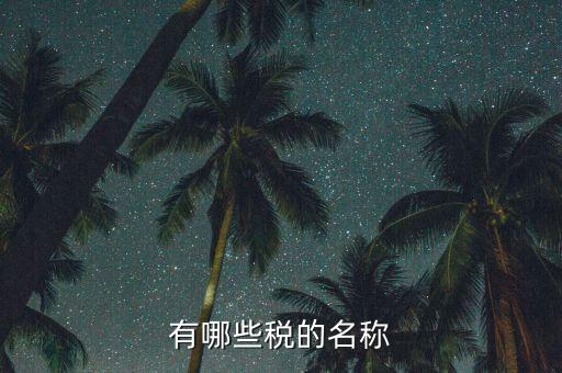 什么是稅收名稱大類，增值稅普通發(fā)票的商品名稱寫大類稅務局能通過嗎