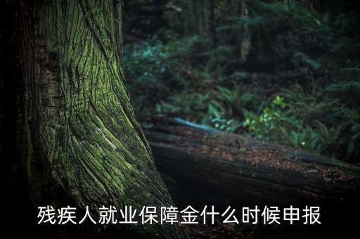 殘疾人保障金什么時(shí)候，殘疾人就業(yè)保障金怎么交什么時(shí)侯交會(huì)計(jì)分錄