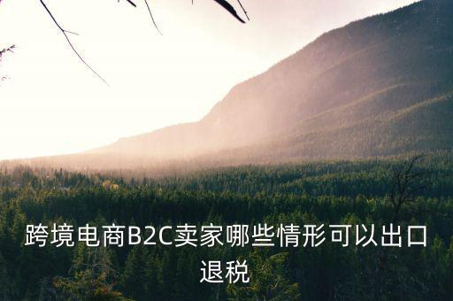 什么情況下要退稅，跨境電商B2C賣家哪些情形可以出口退稅