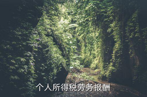 個(gè)稅什么情況勞務(wù)報(bào)酬，有關(guān)個(gè)稅勞務(wù)報(bào)酬
