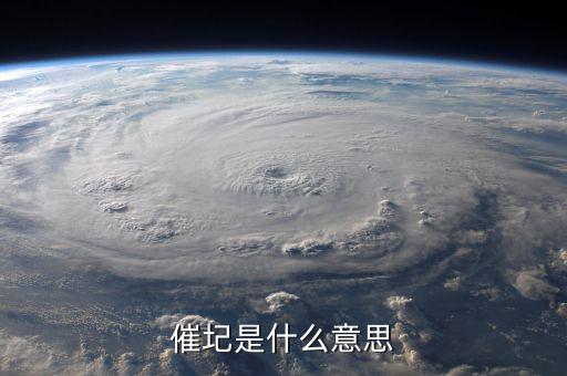 催報什么意思是什么意思是什么，催圮是什么意思