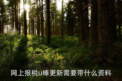 稅務(wù)u棒是什么，網(wǎng)上報稅u棒更新需要帶什么資料