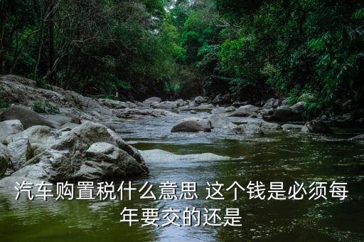 車購(gòu)稅 是什么意思，汽車購(gòu)置稅什么意思 這個(gè)錢是必須每年要交的還是