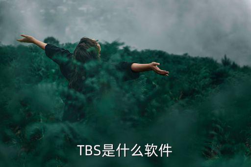 金穗軟件是什么軟件，這個軟件叫什么