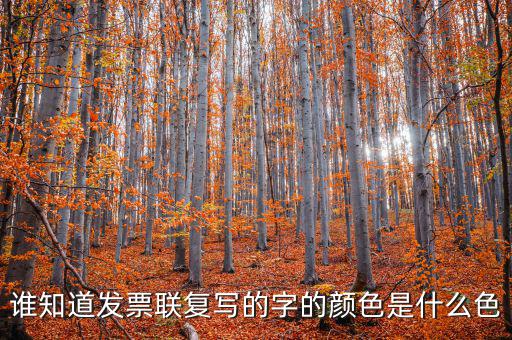 雙聯(lián)發(fā)票是什么字體，三聯(lián)發(fā)票和兩聯(lián)發(fā)票大小一樣用重設置打印機嗎