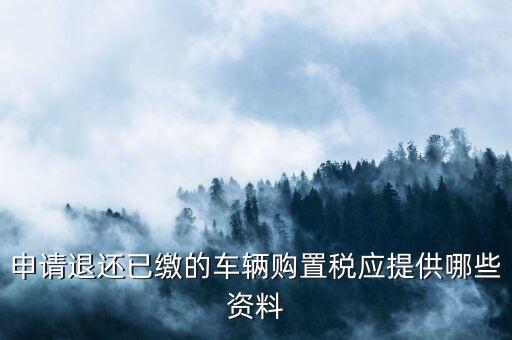 車輛退稅需要什么，現(xiàn)在購車要退什么稅