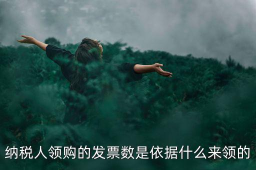 為什么領(lǐng)票人是納稅人，發(fā)票領(lǐng)購簿上的章子與納稅人名稱不一樣是怎么回事